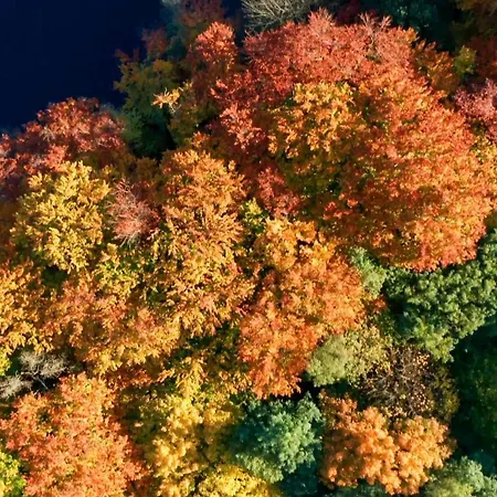 Parkresidenz Lychen, 10 *