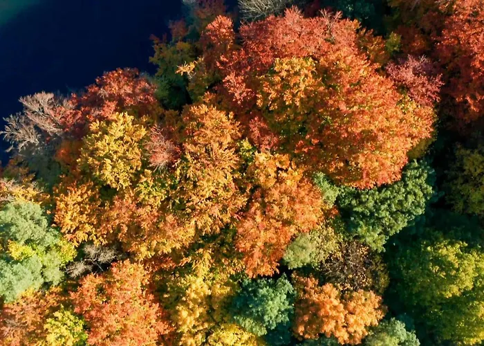 Parkresidenz Lychen, 10 *